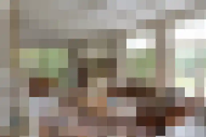 de Mandenmaker 6 Heeze thumbnail 21
