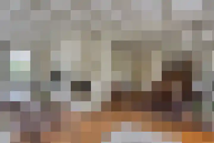 de Mandenmaker 6 Heeze thumbnail 26