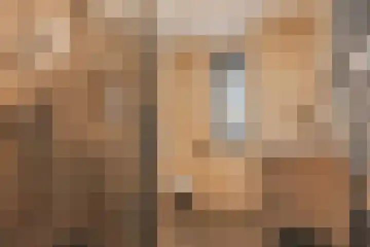 de Mandenmaker 6 Heeze thumbnail 27