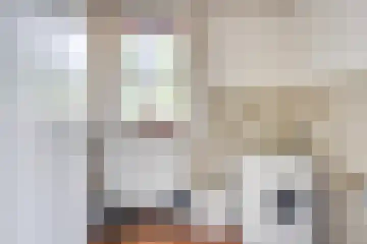 de Mandenmaker 6 Heeze thumbnail 30