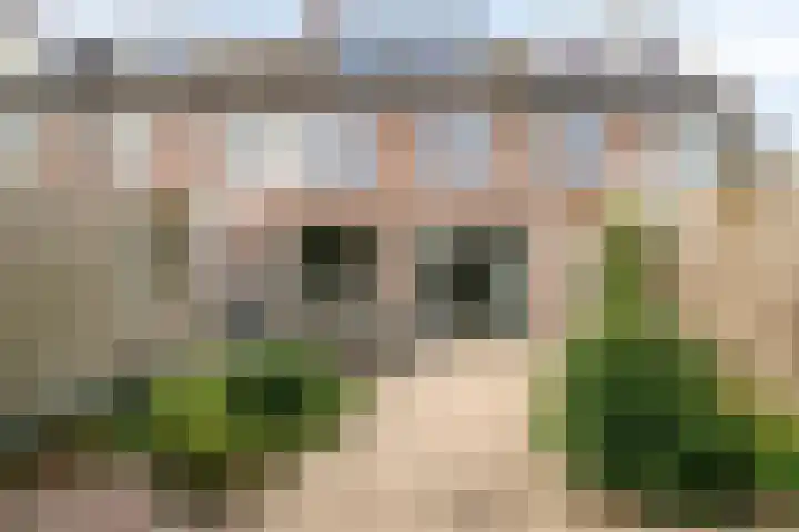 de Mandenmaker 6 Heeze thumbnail 31