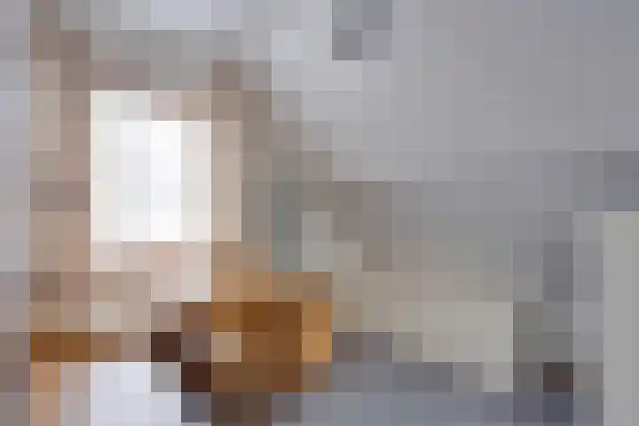 de Mandenmaker 6 Heeze thumbnail 34