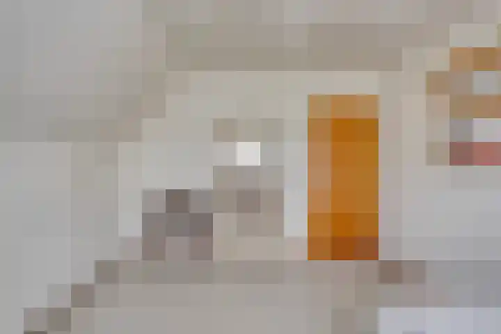 de Mandenmaker 6 Heeze thumbnail 39