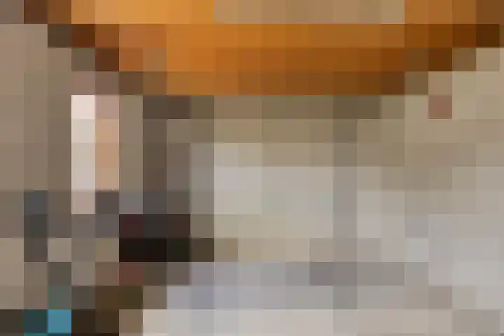 de Mandenmaker 6 Heeze thumbnail 41