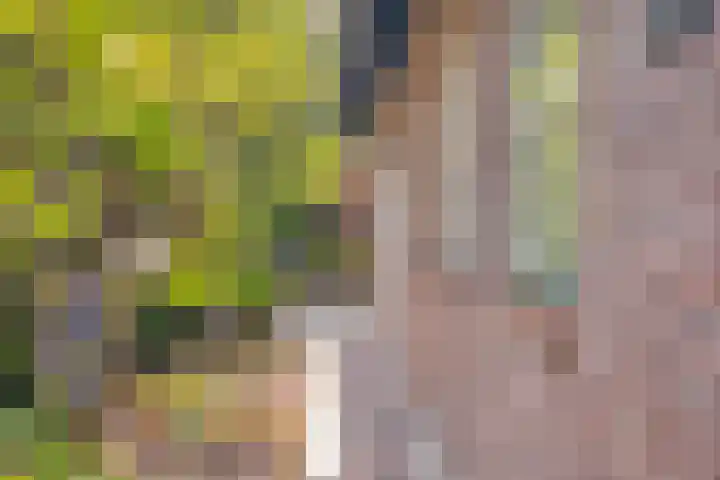 de Mandenmaker 6 Heeze thumbnail 44