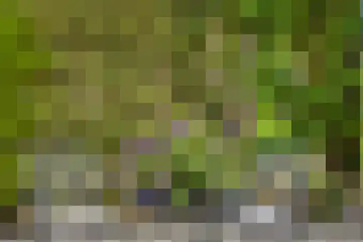 de Mandenmaker 6 Heeze thumbnail 45