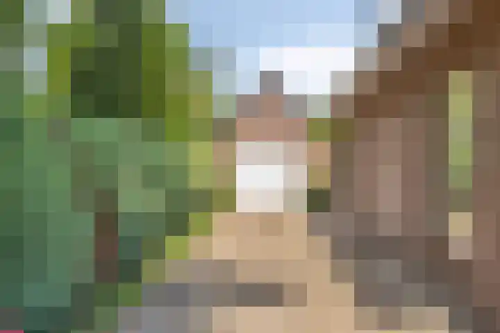 de Mandenmaker 6 Heeze thumbnail 47