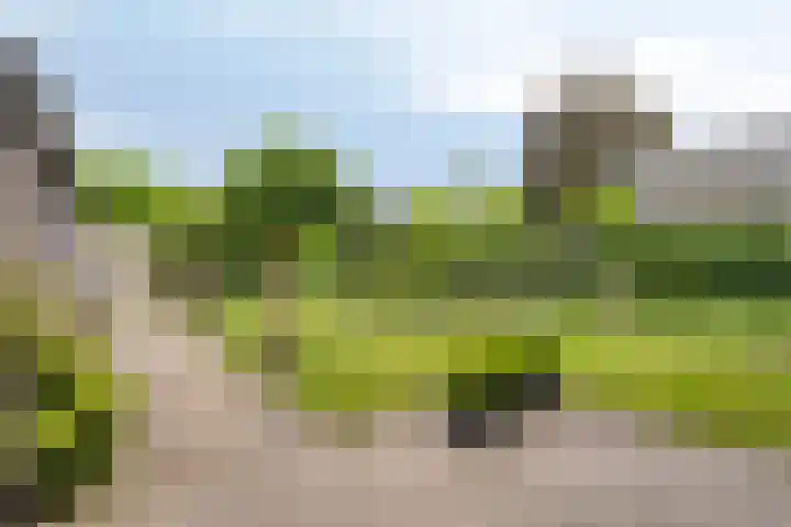 de Mandenmaker 6 Heeze thumbnail 48