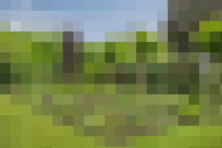 de Mandenmaker 6 Heeze thumbnail 49