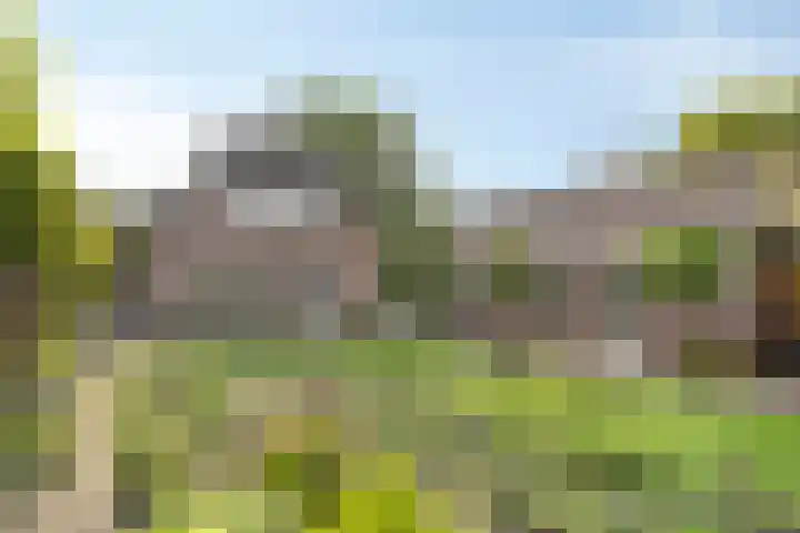 de Mandenmaker 6 Heeze thumbnail 5
