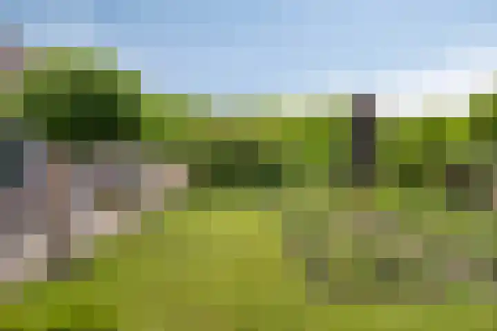 de Mandenmaker 6 Heeze thumbnail 50
