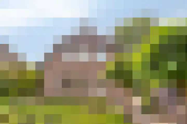 de Mandenmaker 6 Heeze thumbnail 51
