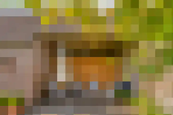 de Mandenmaker 6 Heeze thumbnail 53