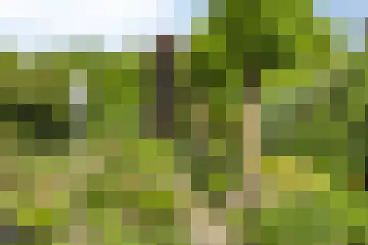 de Mandenmaker 6 Heeze thumbnail 54