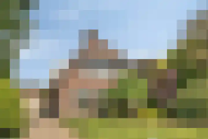 de Mandenmaker 6 Heeze thumbnail 6