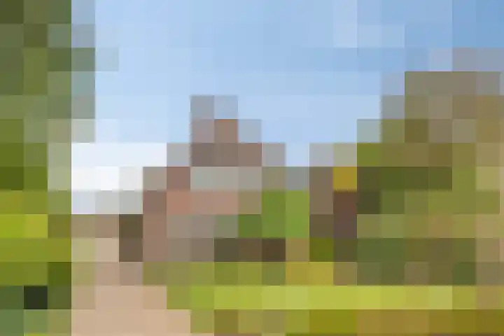 de Mandenmaker 6 Heeze thumbnail 7