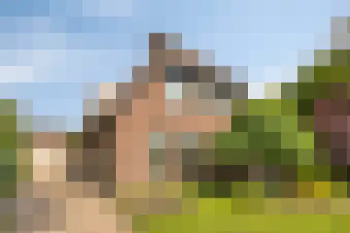 de Mandenmaker 6 Heeze thumbnail 8