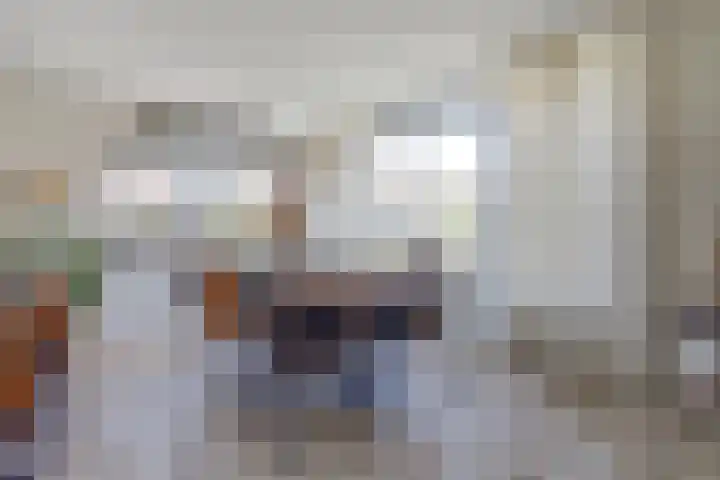 de Mandreef 2 Rucphen thumbnail 12