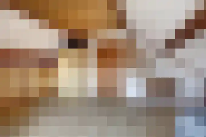 de Mandreef 2 Rucphen thumbnail 29