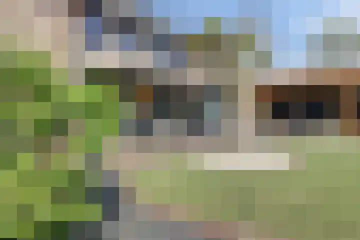 de Mandreef 2 Rucphen thumbnail 39
