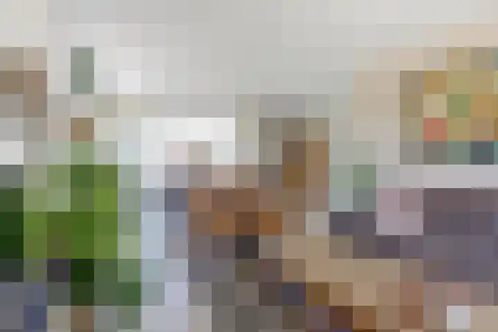 de Mandreef 2 Rucphen thumbnail 8
