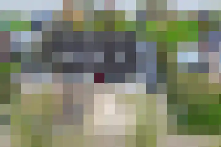 De Mar 10 Easterlittens foto 3