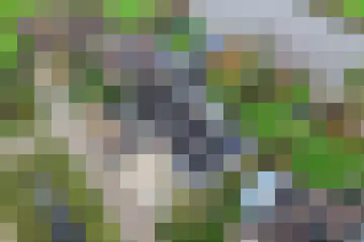 De Mar 10 Easterlittens thumbnail 57