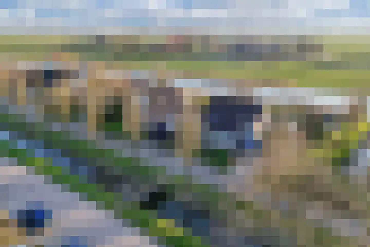 De Mar 4 Easterlittens