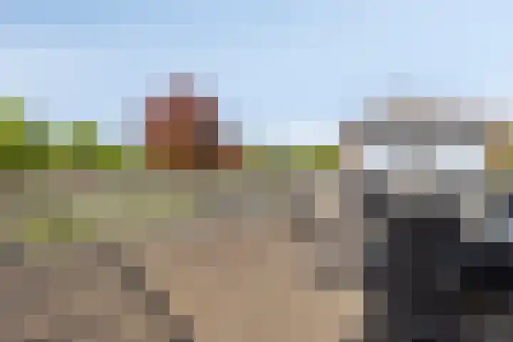 De Marke 14 Amersfoort thumbnail 22
