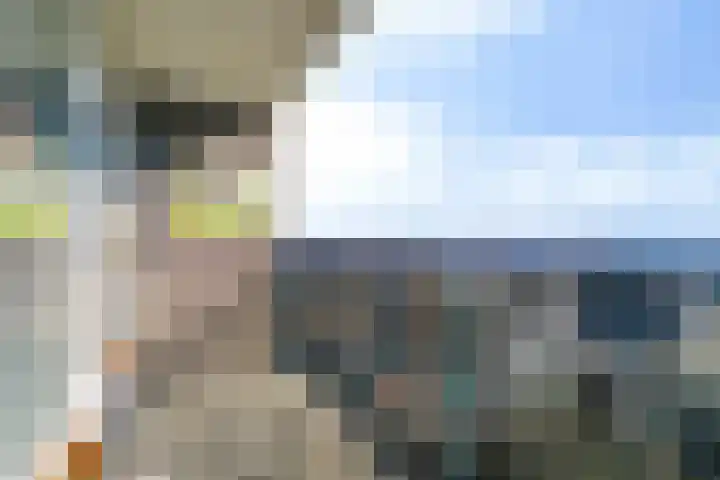 De Marke 216 Drachten thumbnail 27