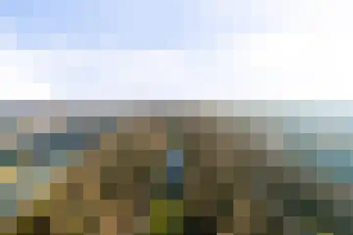 De Marke 216 Drachten thumbnail 29