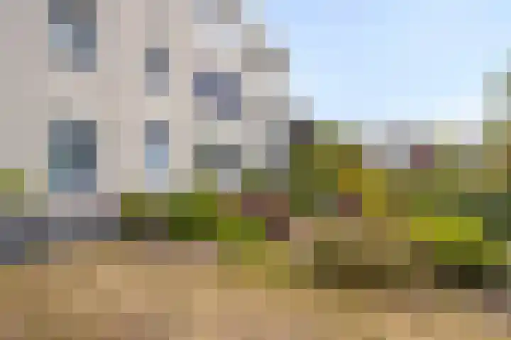 De Marke 7 Wierden thumbnail 20