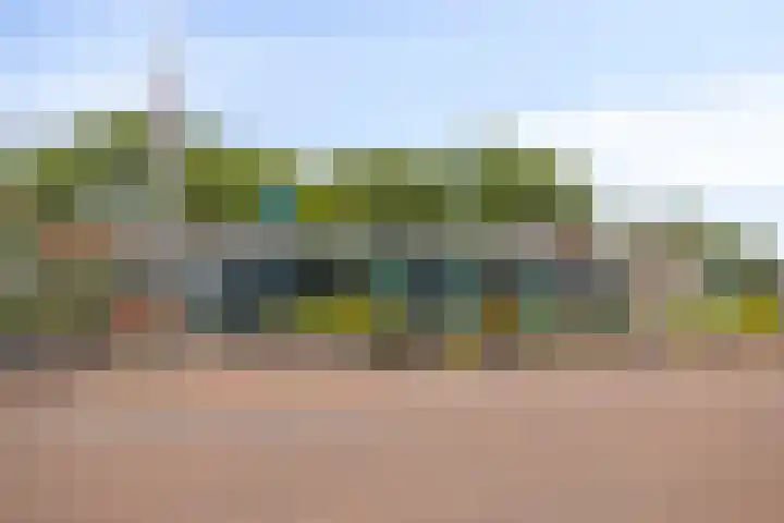 De Marke 7 Wierden thumbnail 24