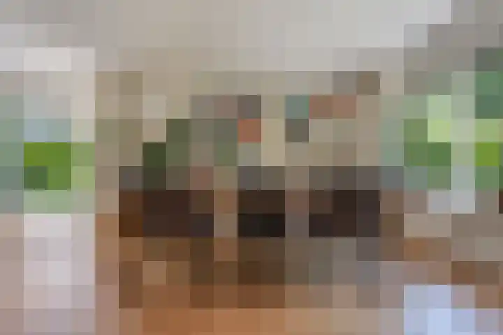 De Marke 76 Hasselt thumbnail 12