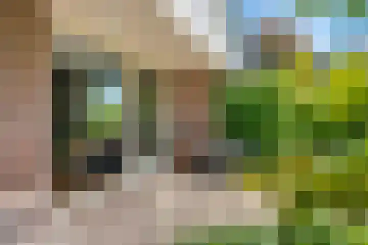 De Marke 76 Hasselt thumbnail 23
