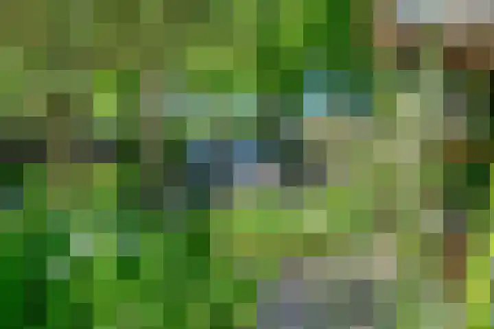 De Marke 76 Hasselt thumbnail 32
