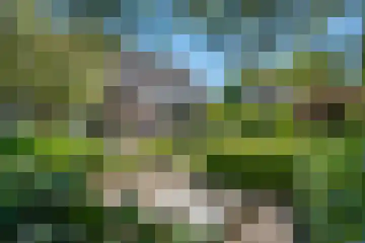 De Marke 76 Hasselt thumbnail 34