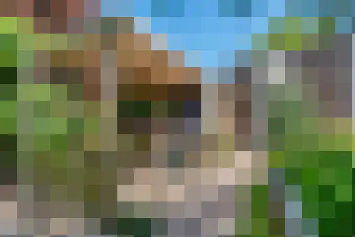 De Marke 76 Hasselt thumbnail 35