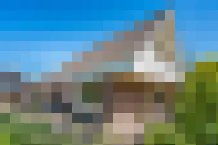 De Marke 76 Hasselt thumbnail 39