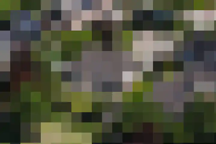 De Marke 76 Hasselt thumbnail 58