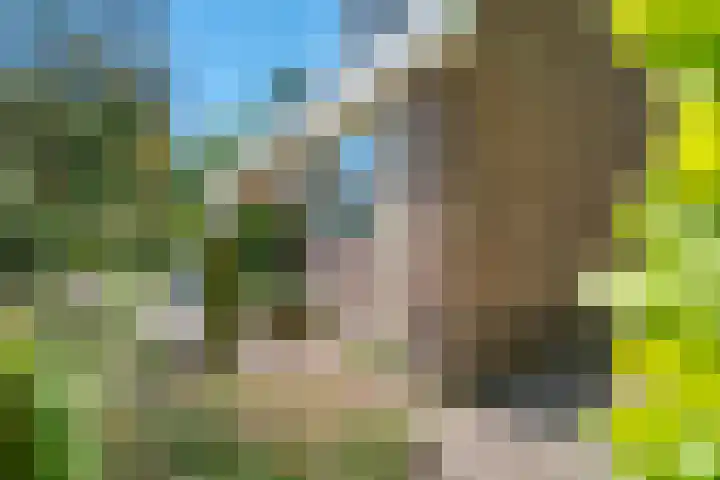 De Marke 76 Hasselt thumbnail 6