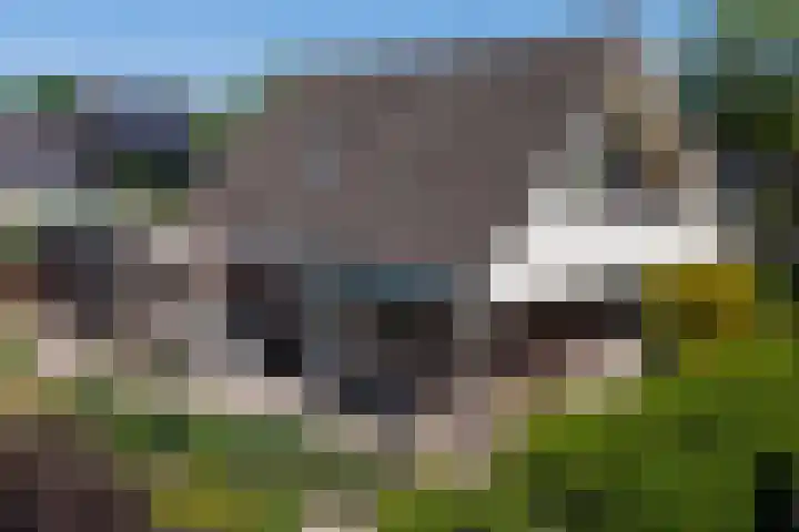 De Marke 76 Hasselt thumbnail 60