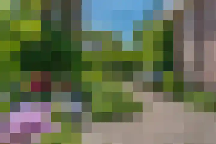 De Marke 76 Hasselt thumbnail 8