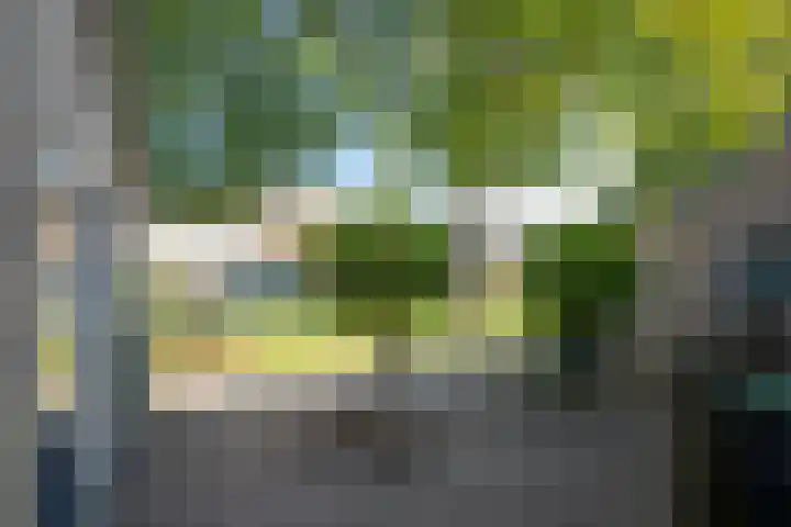 De Marke 8 Hasselt thumbnail 13