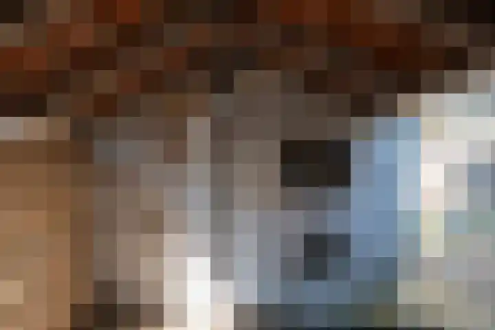 De Marke 8 Hasselt thumbnail 38