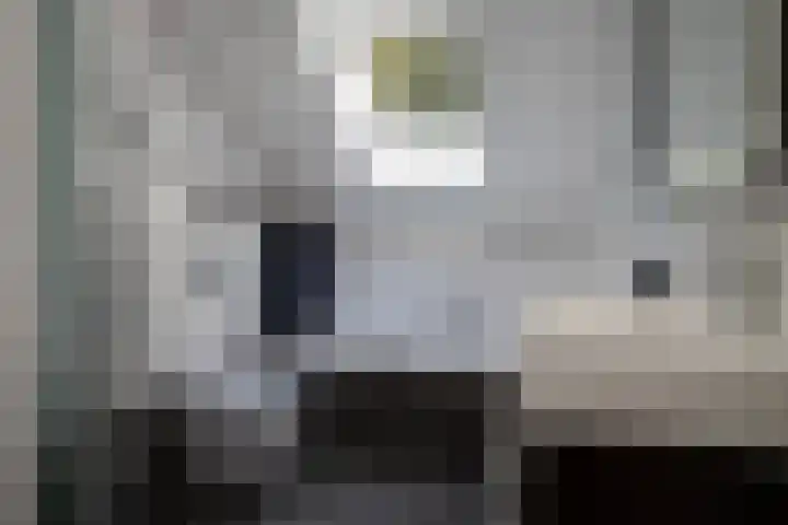 De Marke 8 Hasselt thumbnail 49
