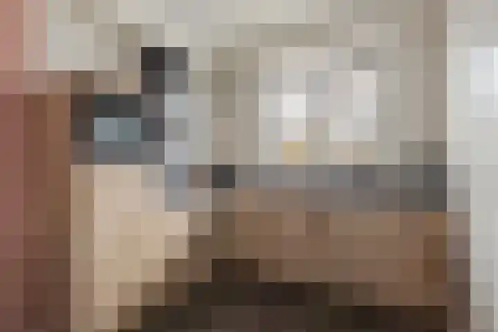 De Marke 8 Lemelerveld thumbnail 11