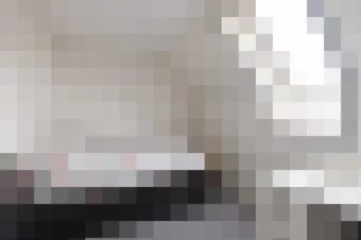 De Marke 8 Lemelerveld thumbnail 18