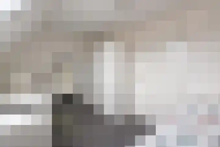 De Marke 8 Lemelerveld thumbnail 19