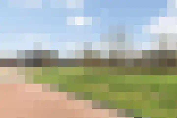 De Marke 8 Lemelerveld thumbnail 27